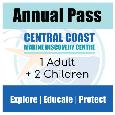 Annual Pass Family B