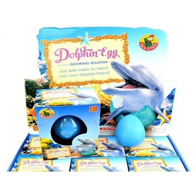 Growing Pet Dolphin Egg